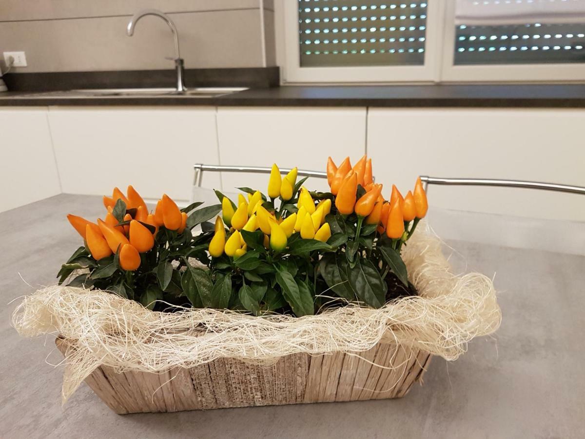 Apartament Chez George Levico Terme Zewnętrze zdjęcie